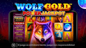 매력적인 게임 경험을 제공하는 Wolf Gold Slot
